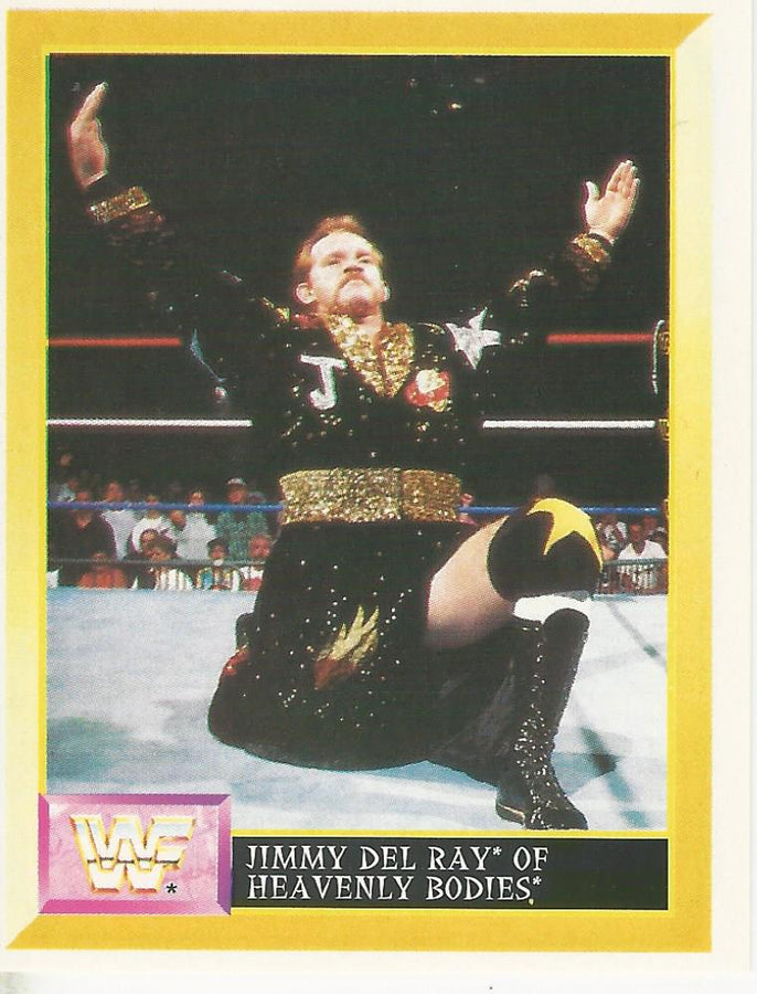 WWF Merlin Sticker 1994 Heavenly Bodies #271