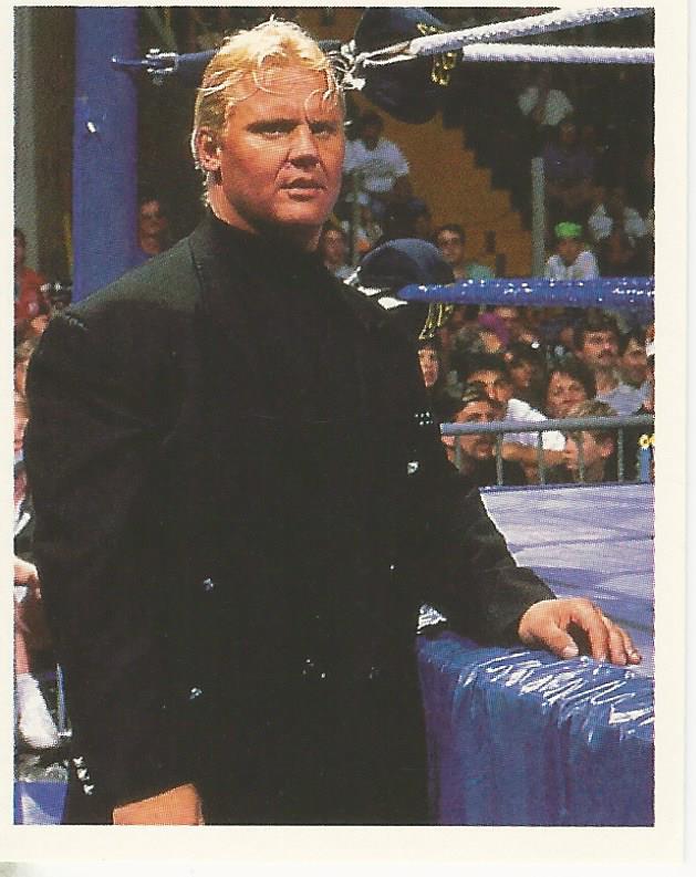 WWF Merlin Stickers 1992 Mr Perfect #271