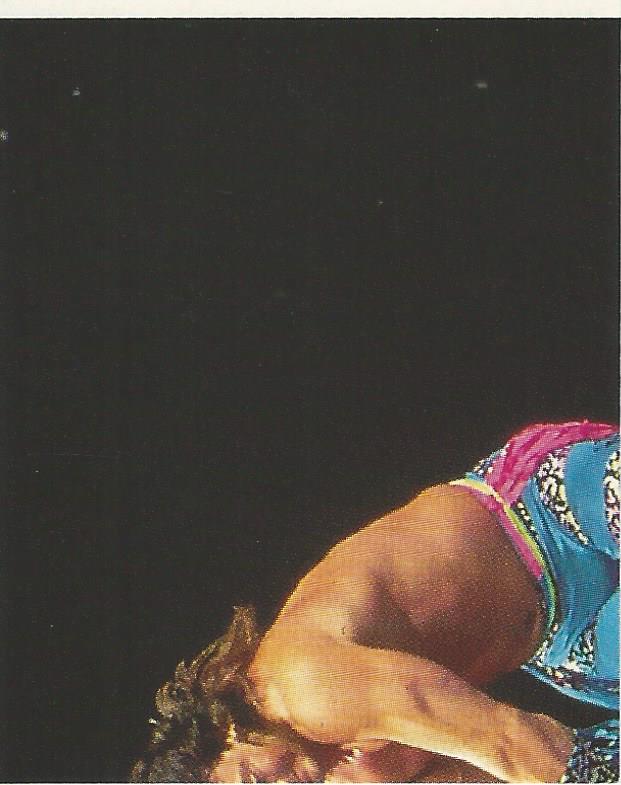 WWF Merlin Stickers 1991 Marty Jannetty #271