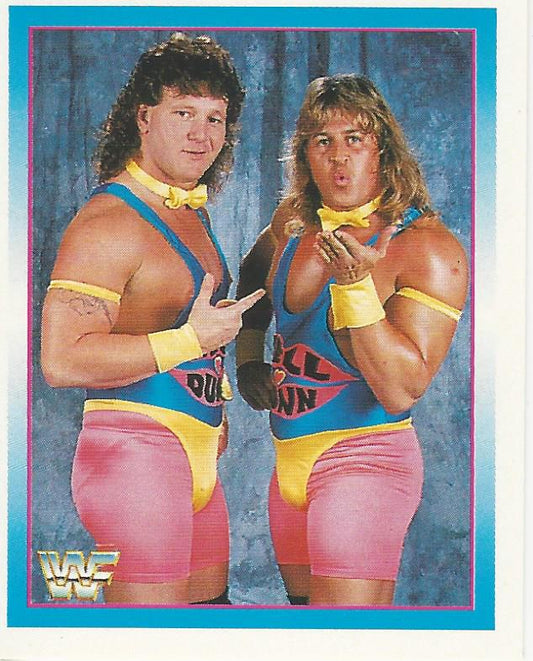 WWF Merlin Stickers 1995 Well Dunn #272