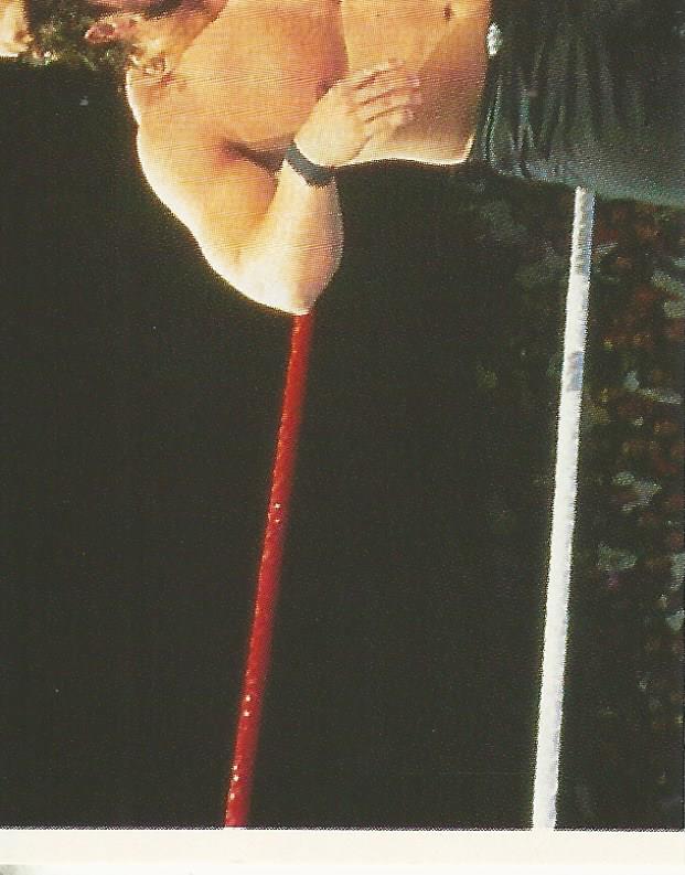 WWF Merlin Stickers 1991 Marty Jannetty #272