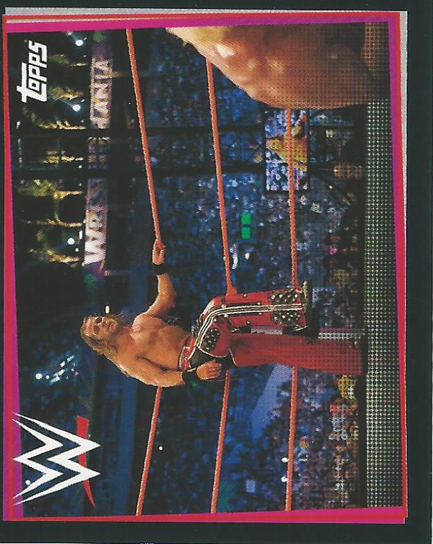 WWE Topps Road to Wrestlemania Stickers 2021 Shawn Michaels #272
