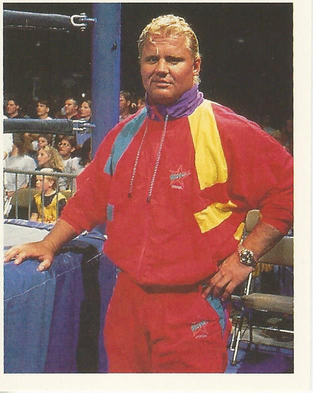 WWF Merlin Stickers 1992 Mr Perfect #272