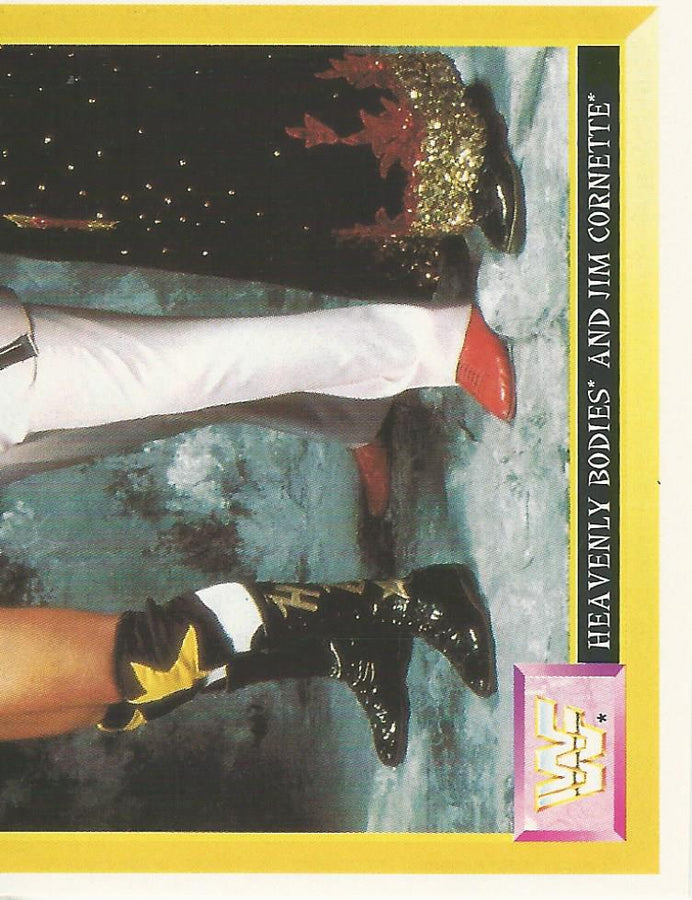 WWF Merlin Sticker 1994 Heavenly Bodies #273