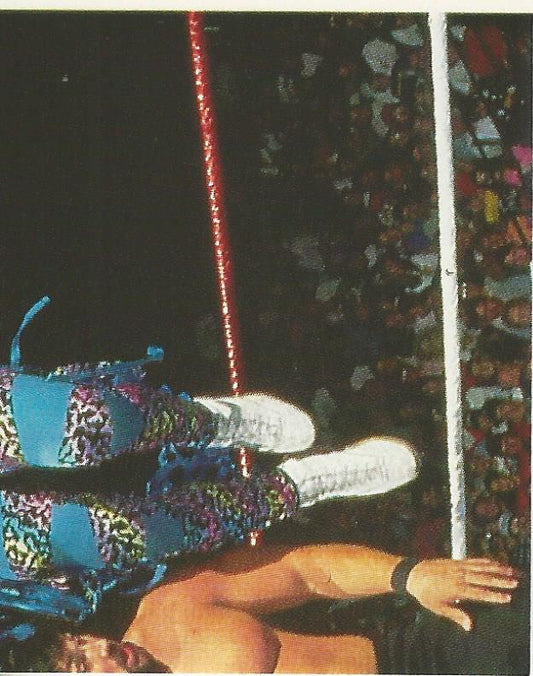 WWF Merlin Stickers 1991 Marty Jannetty #273
