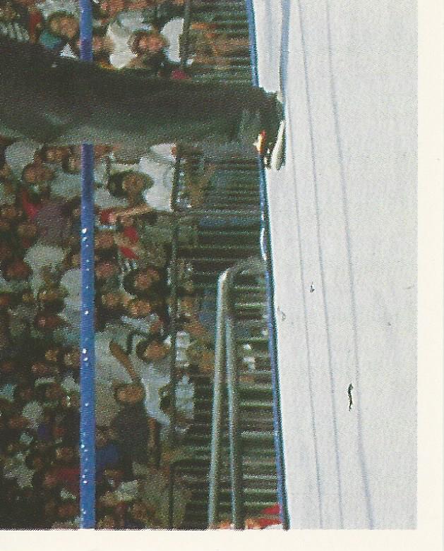 WWF Merlin Stickers 1991 Marty Jannetty #274