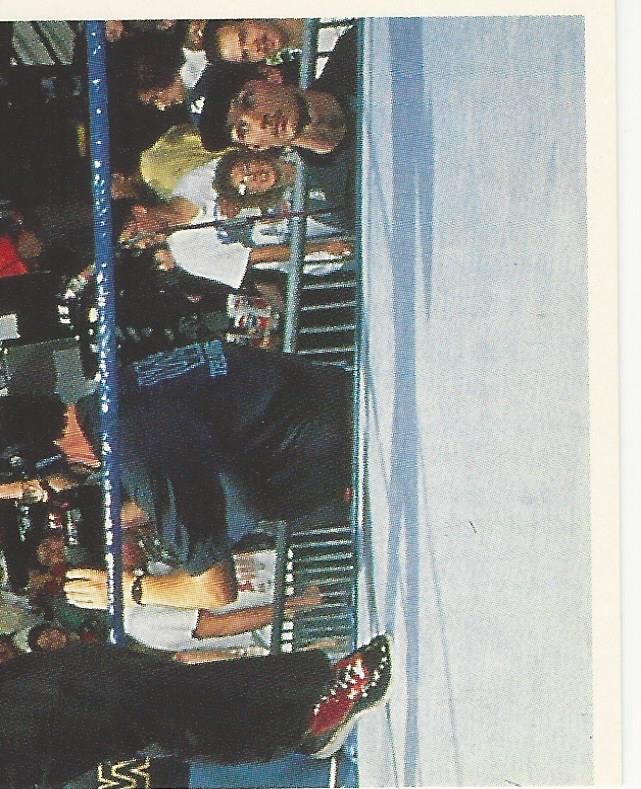 WWF Merlin Stickers 1991 Marty Jannetty #275