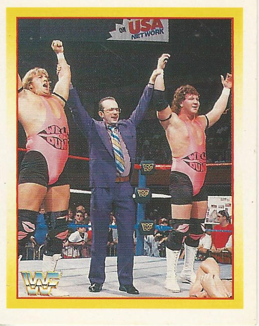 WWF Merlin Stickers 1995 Well Dunn #275