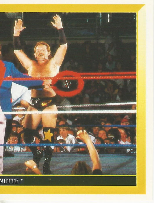 WWF Merlin Sticker 1994 Heavenly Bodies #276