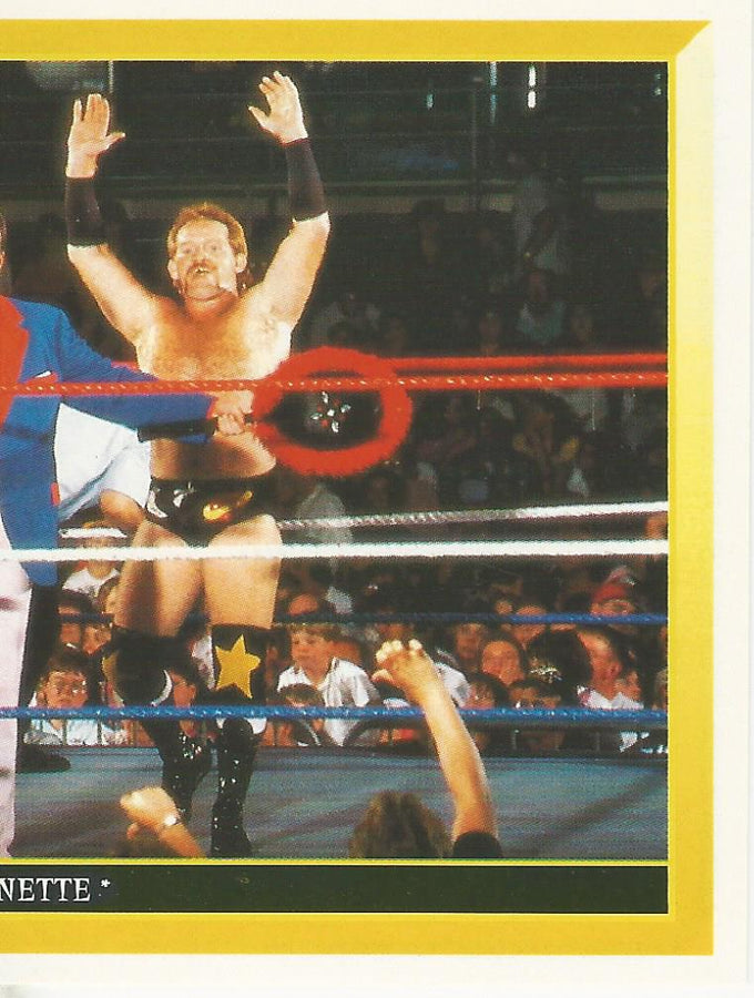 WWF Merlin Sticker 1994 Heavenly Bodies #276