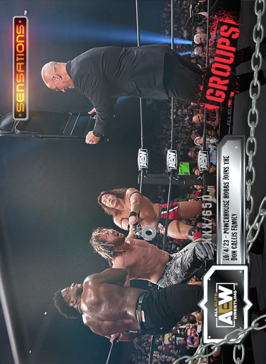 10/4/23 – DON Callis Family – Powerhouse Hobbs Joins the DON Callis Family trading card PW Catalog
