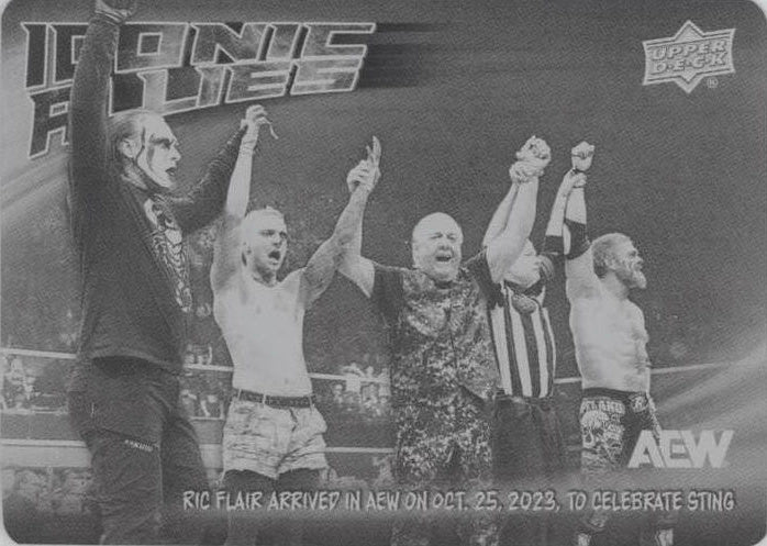 Iconic Allies – RIC Flair Arrived in AEW on OCT. 25, 2023, to Celebrate Sting