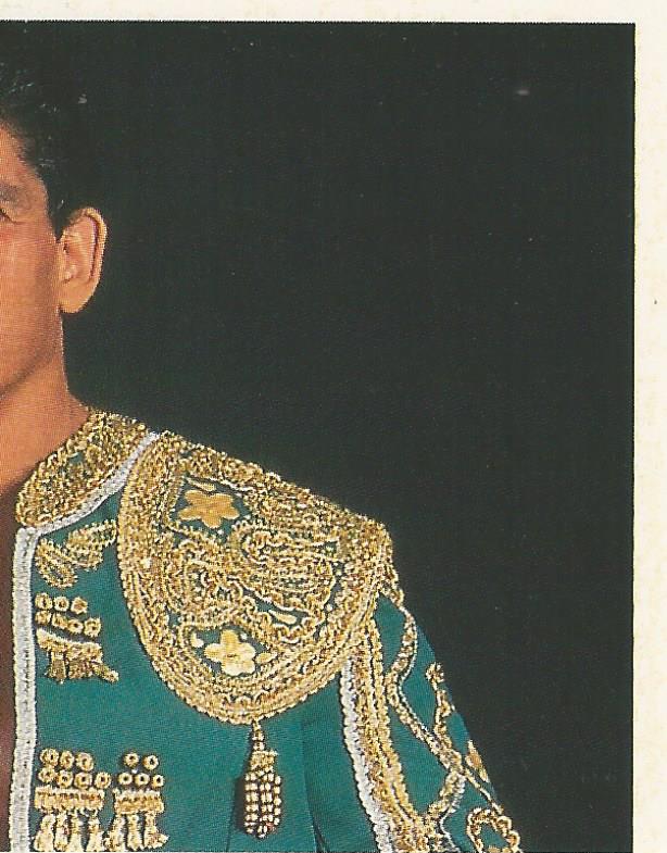 WWF Merlin Stickers 1991 El Matador #278