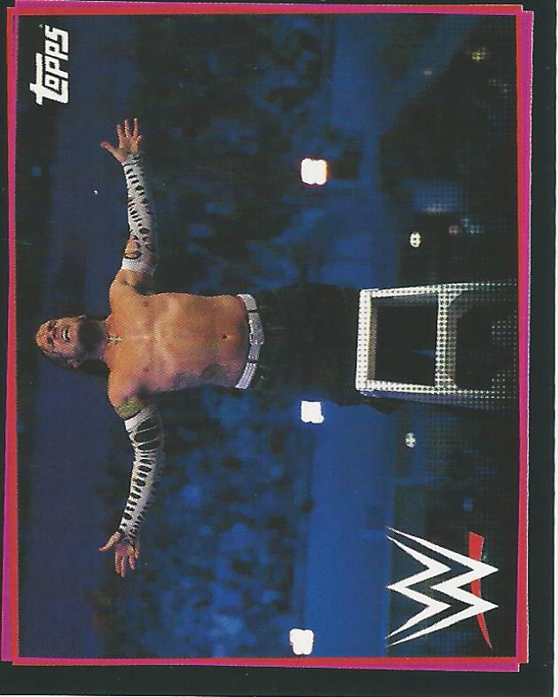 WWE Topps Road to Wrestlemania Stickers 2021 Jeff Hardy #279