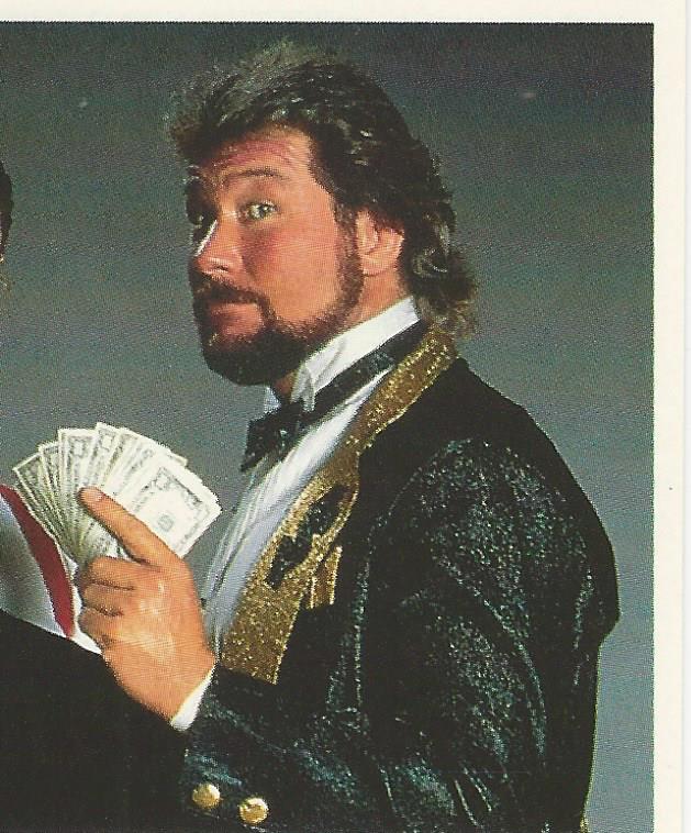 WWF Merlin Stickers 1992 Money Inc #27