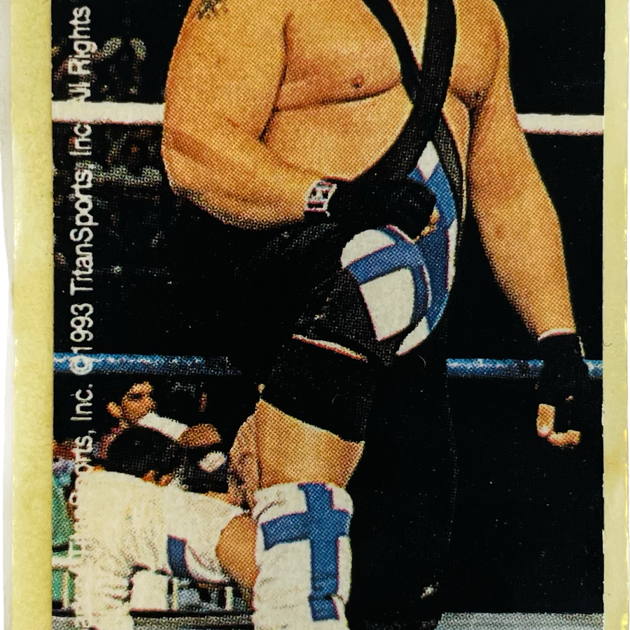 WWF Dunkin Bubble Gum Stickers (1993) No. 27 Ludvig Borga PW Catalog