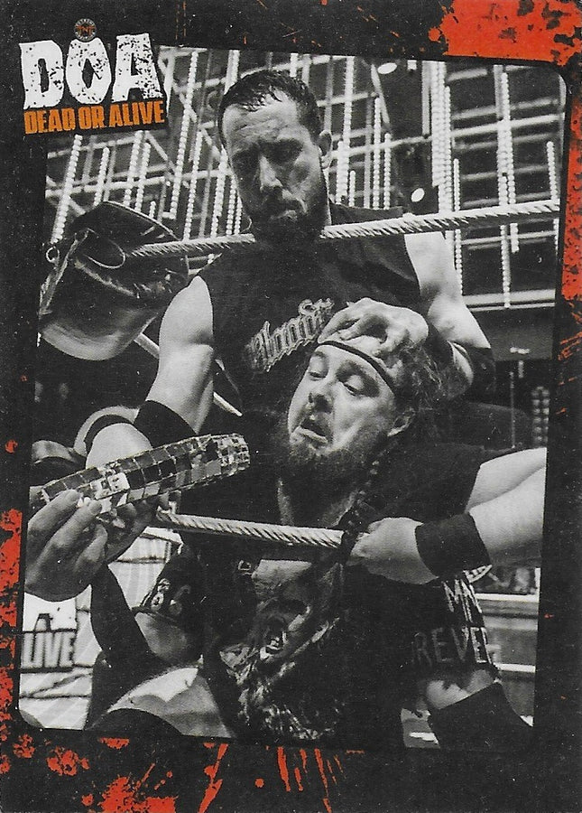 DOA Dead or Alive Ring Action trading card PW Catalog