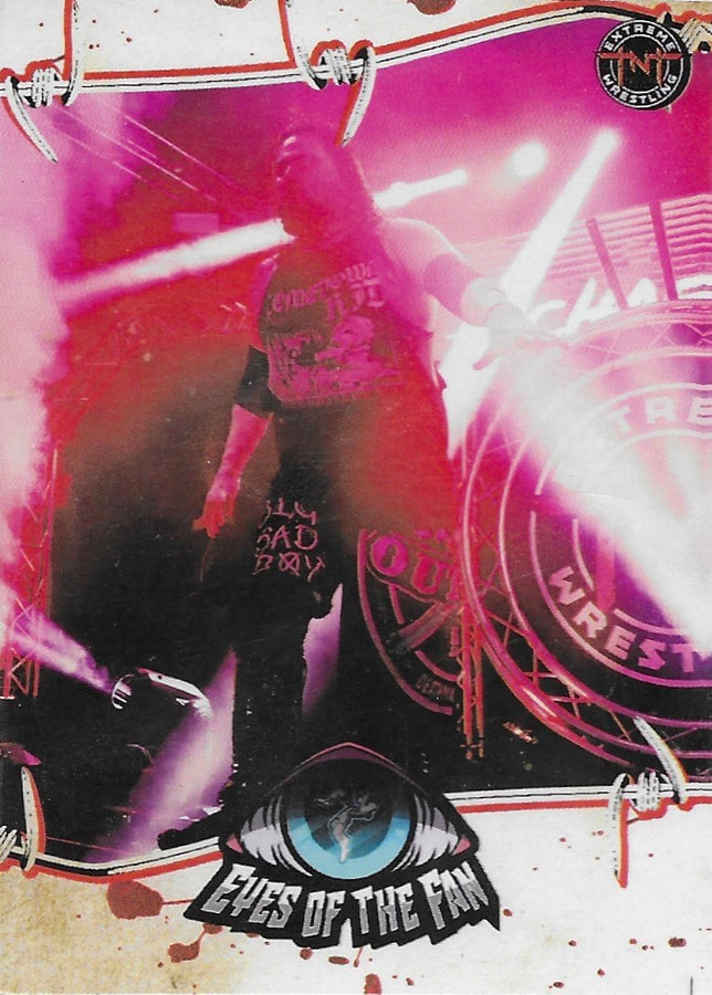 Eyes of the Fan trading card PW Catalog