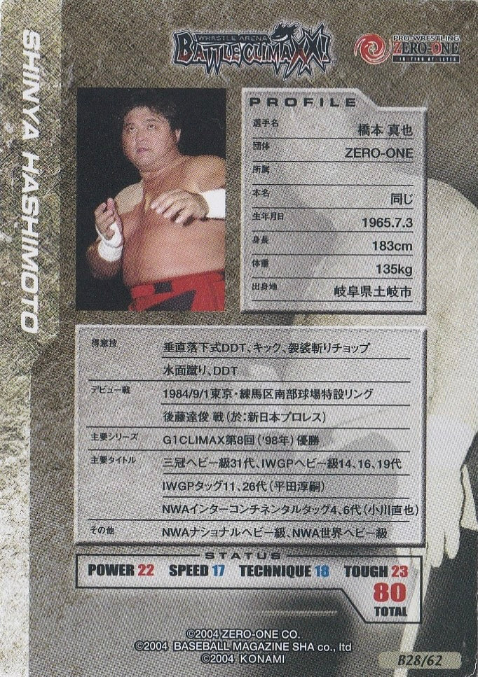 Shinya Hashimoto - image 2