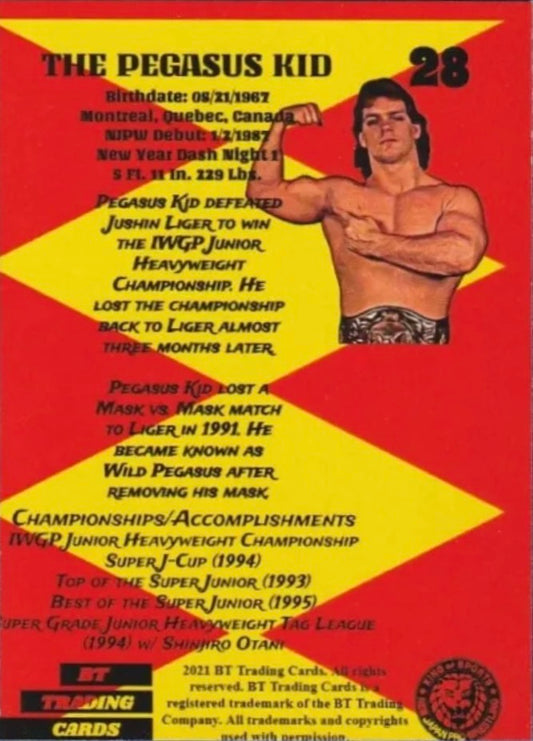 The Pegasus Kid - image 2