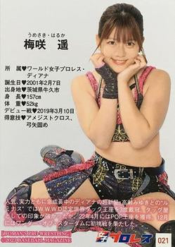 Haruka Umesaki