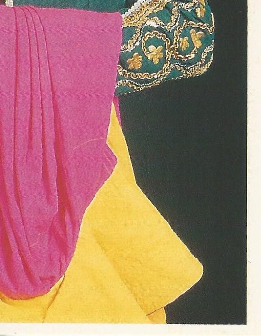 WWF Merlin Stickers 1991 El Matador #280