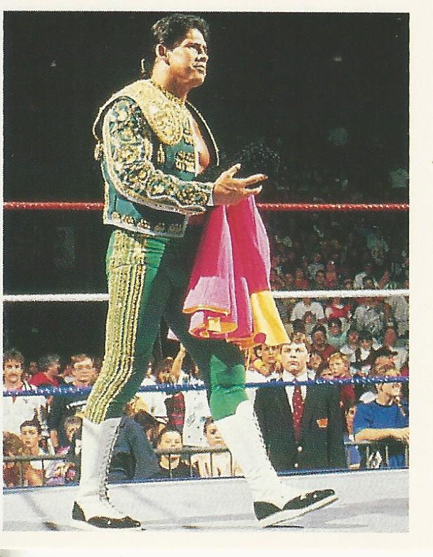 WWF Merlin Stickers 1991 El Matador #281