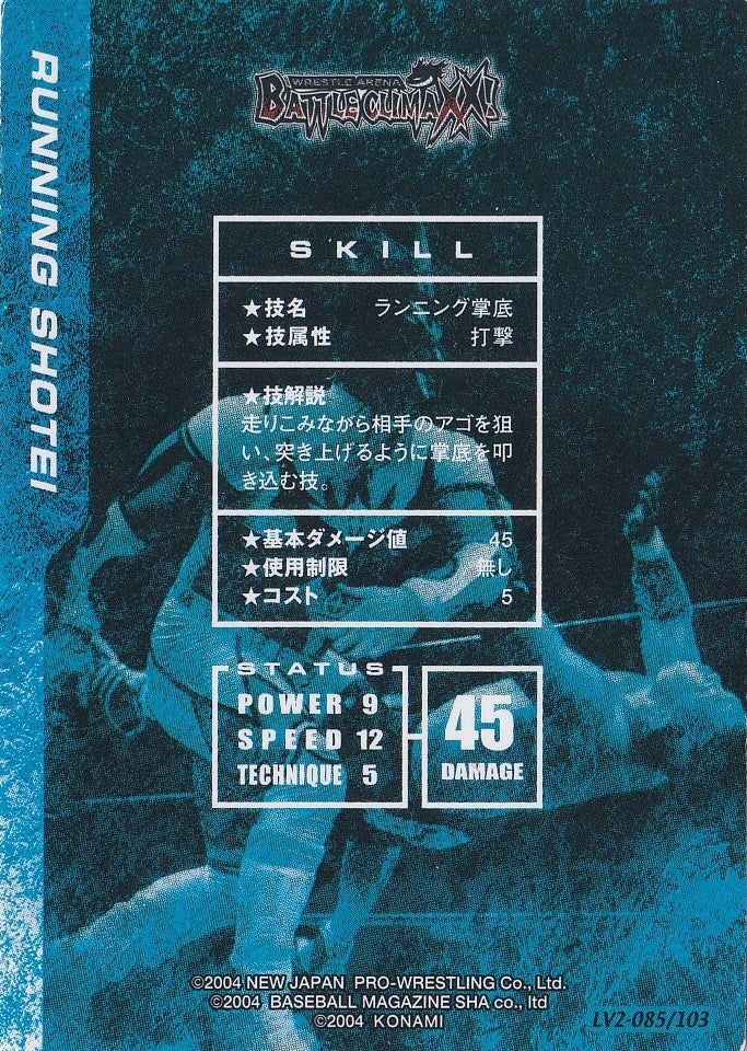 Running Shotei