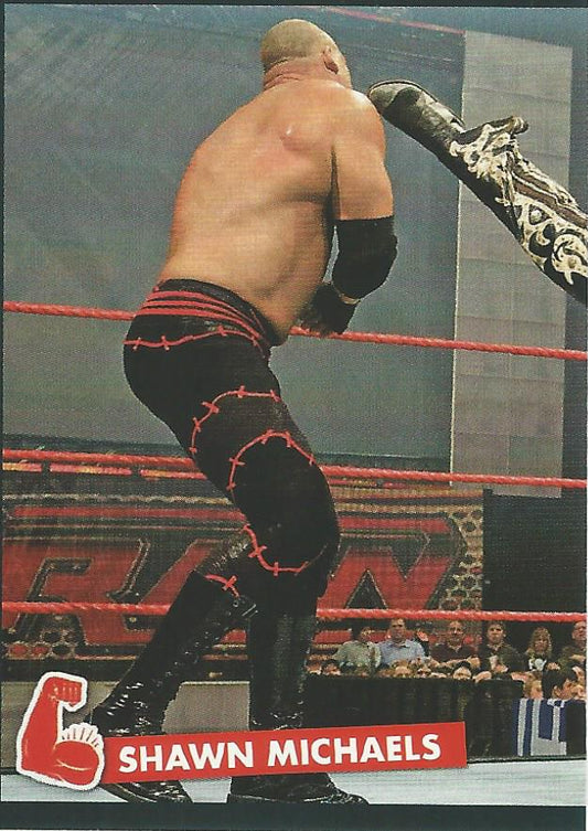 WWE Panini 2022 Sticker Collection Shawn Michaels #282