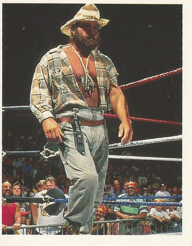 WWF Merlin Stickers 1991 Skinner #283