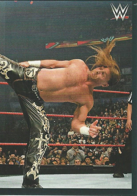 WWE Panini 2022 Sticker Collection Shawn Michaels #283