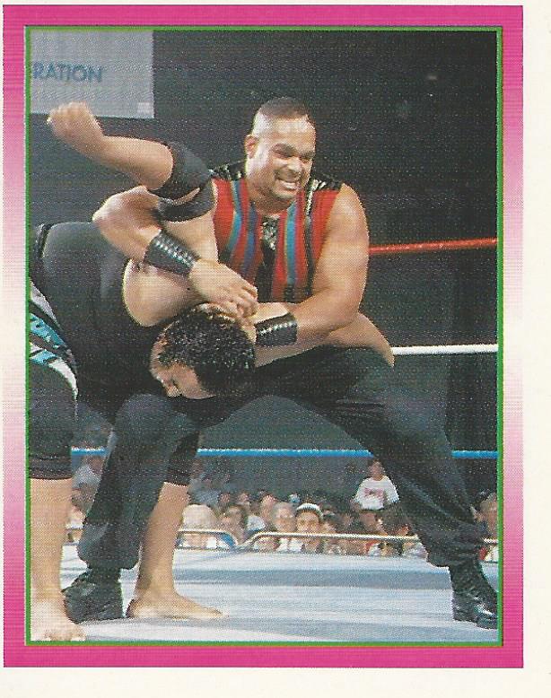 WWF Merlin Stickers 1995 Savio Vega #283