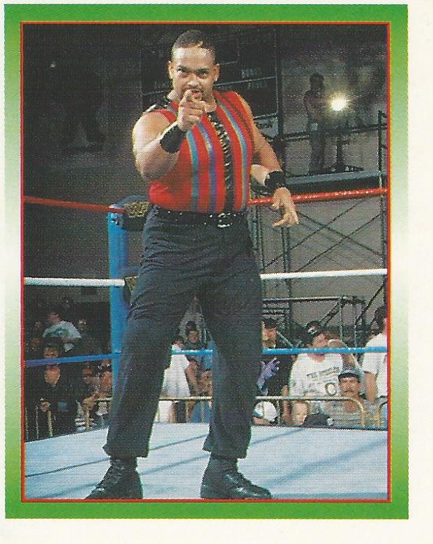 WWF Merlin Stickers 1995 Savio Vega #284