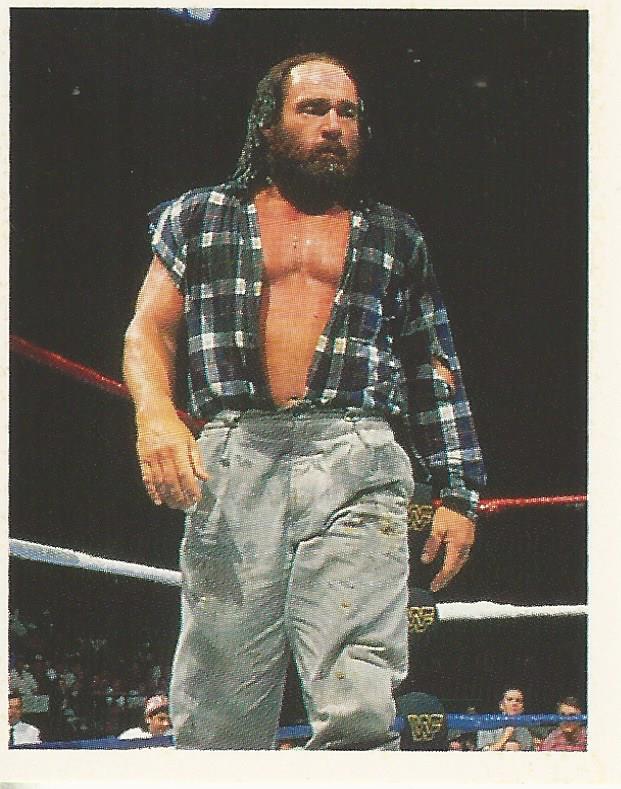 WWF Merlin Stickers 1991 Skinner #287