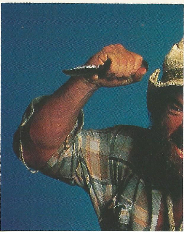 WWF Merlin Stickers 1991 Skinner #289