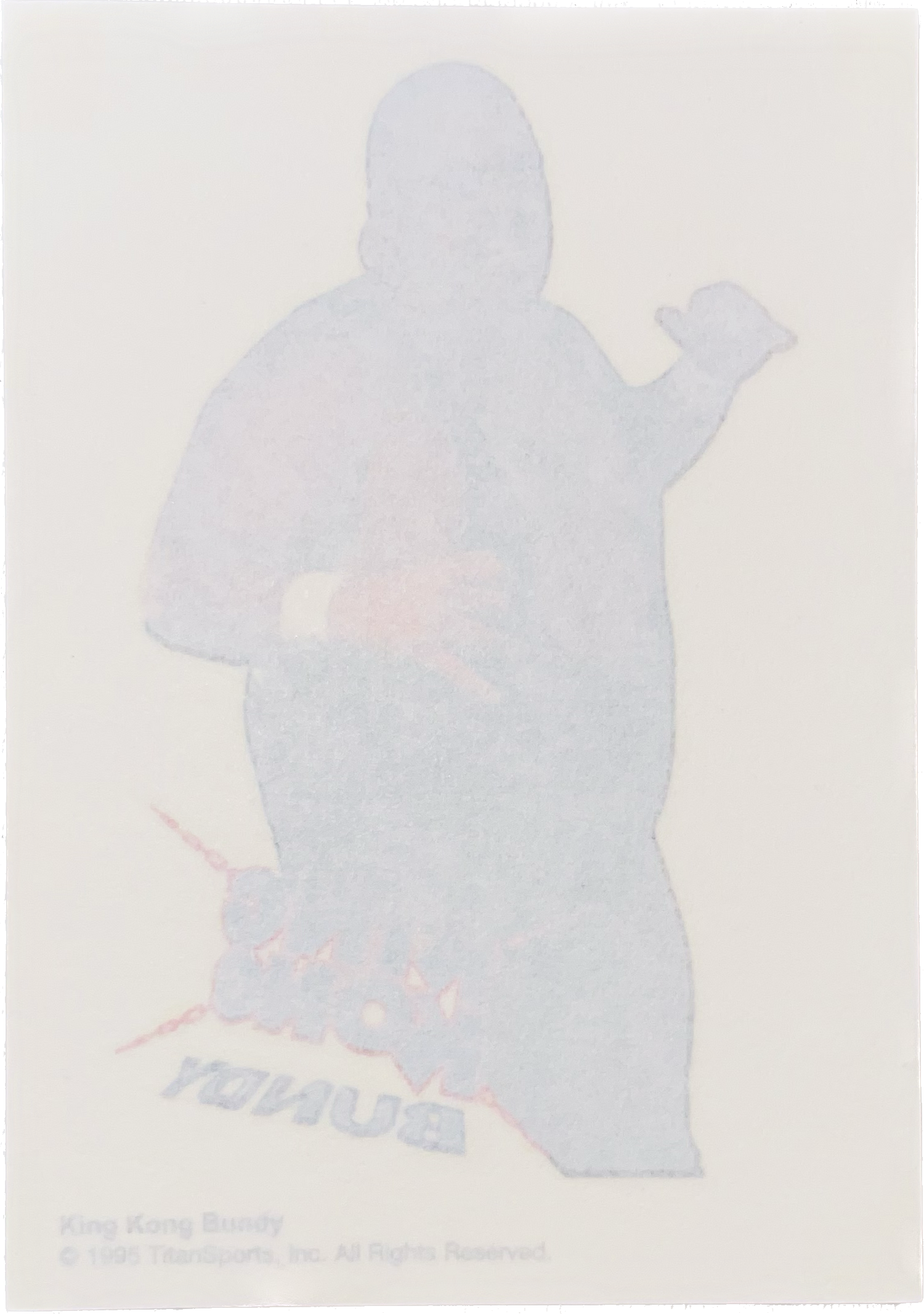 WWF Tattoos 1995 King Kong Bundy from Germany Pwcatalog
