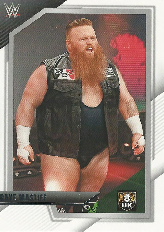 WWE Panini NXT 2022 Dave Mastiff #28