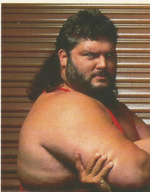 WWF Merlin Stickers 1991 Natural Disasters #28