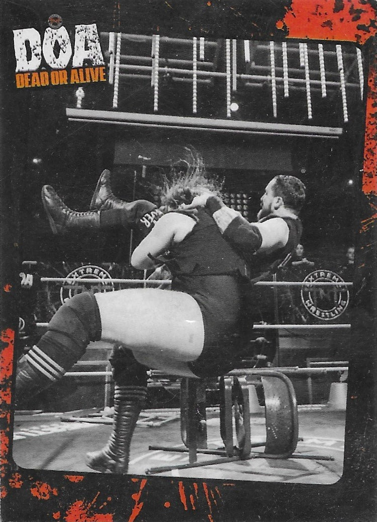 DOA Dead or Alive Ring Action trading card PW Catalog