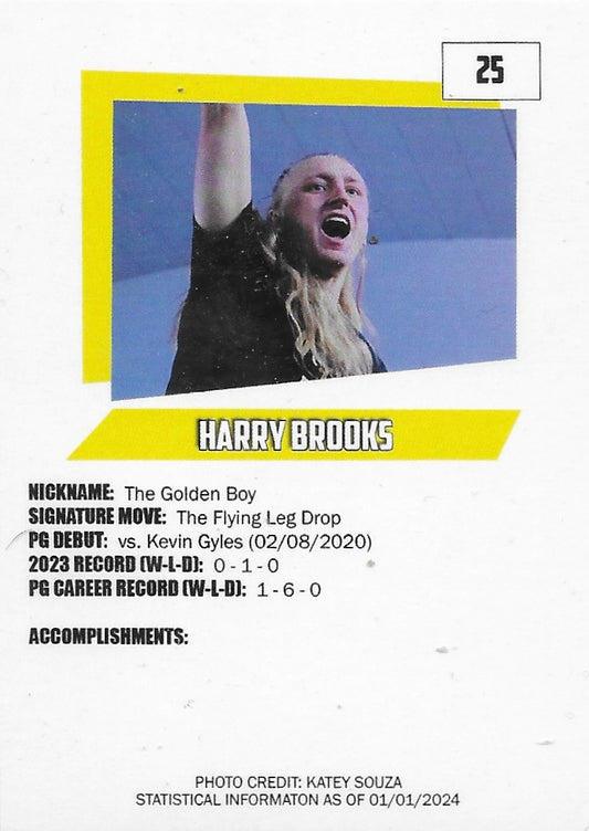 Golden Boy Harry Brooks - image 2