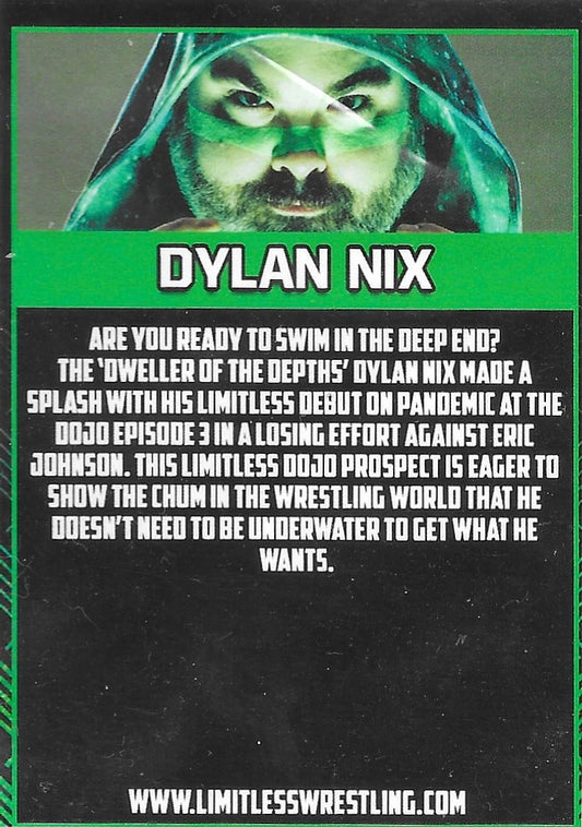 Dylan NIX trading card PW Catalog