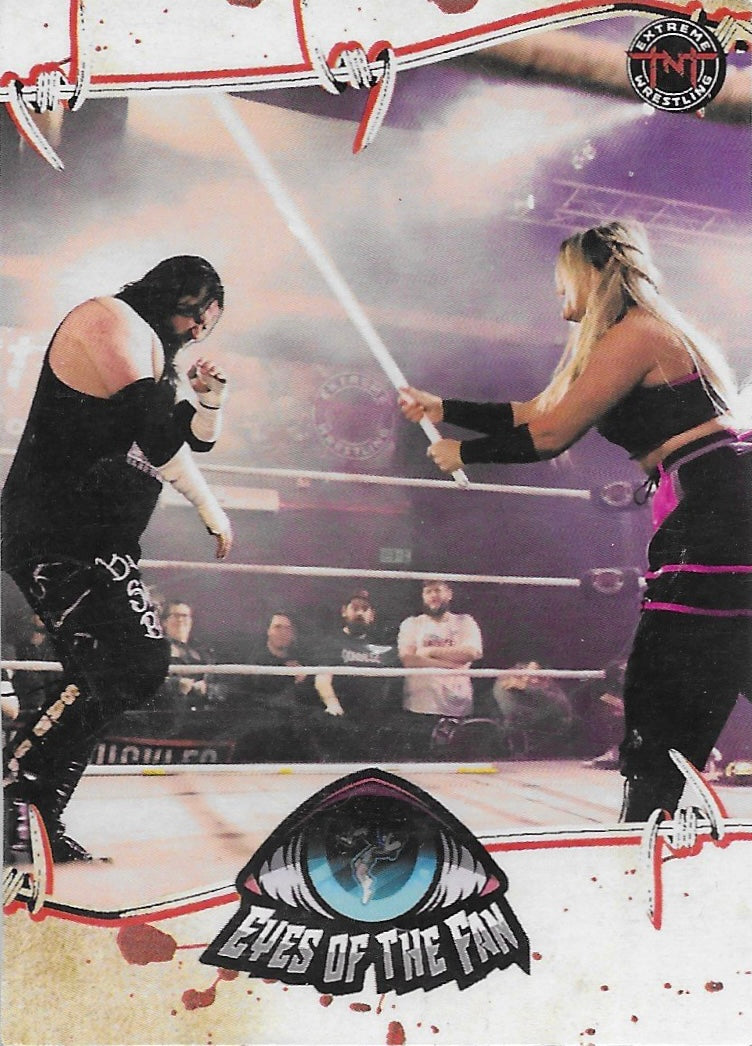 Eyes of the Fan trading card PW Catalog
