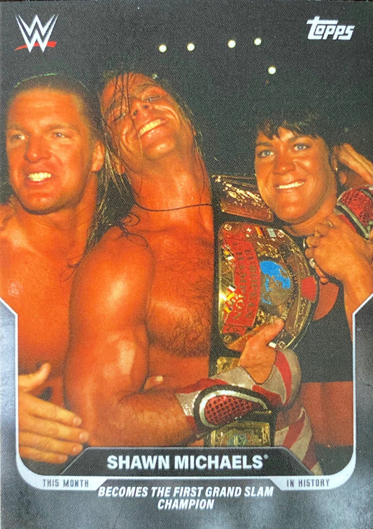 One Night Only – September 20, 1997 Shawn Michaels Becomes the First Grand Slam Champion trading card PW Catalog