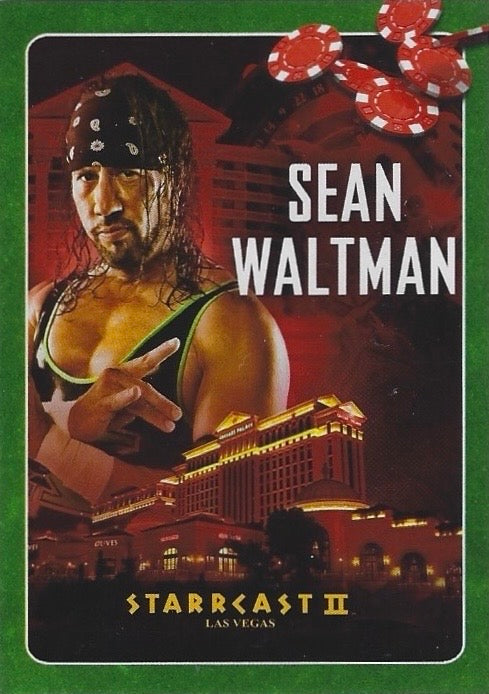 Sean Waltman
