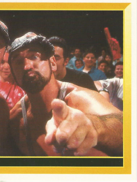 WWF Merlin Sticker 1994 Bushwhackers #290