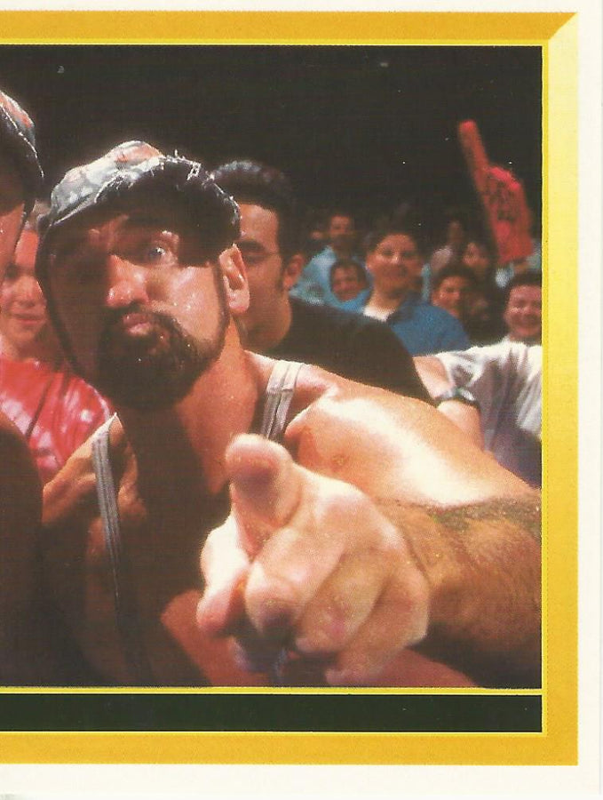 WWF Merlin Sticker 1994 Bushwhackers #290