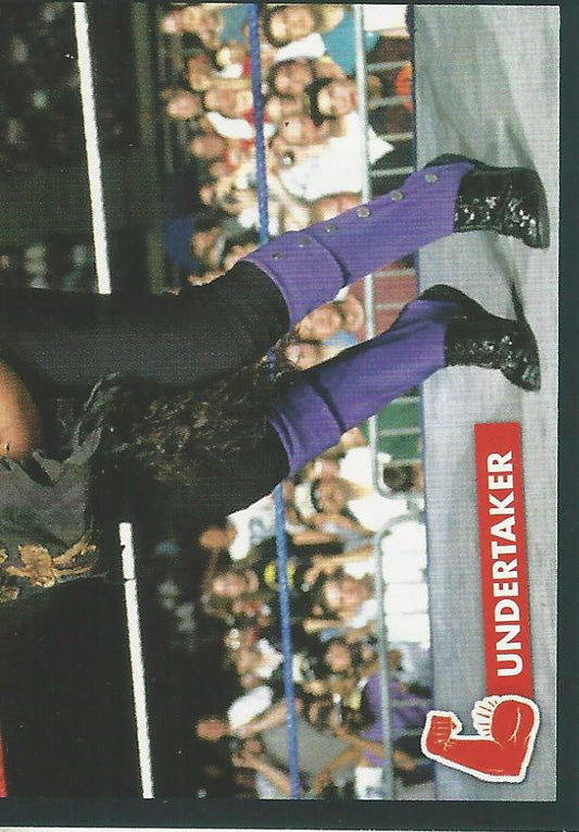 WWE Panini 2022 Sticker Collection Undertaker #291