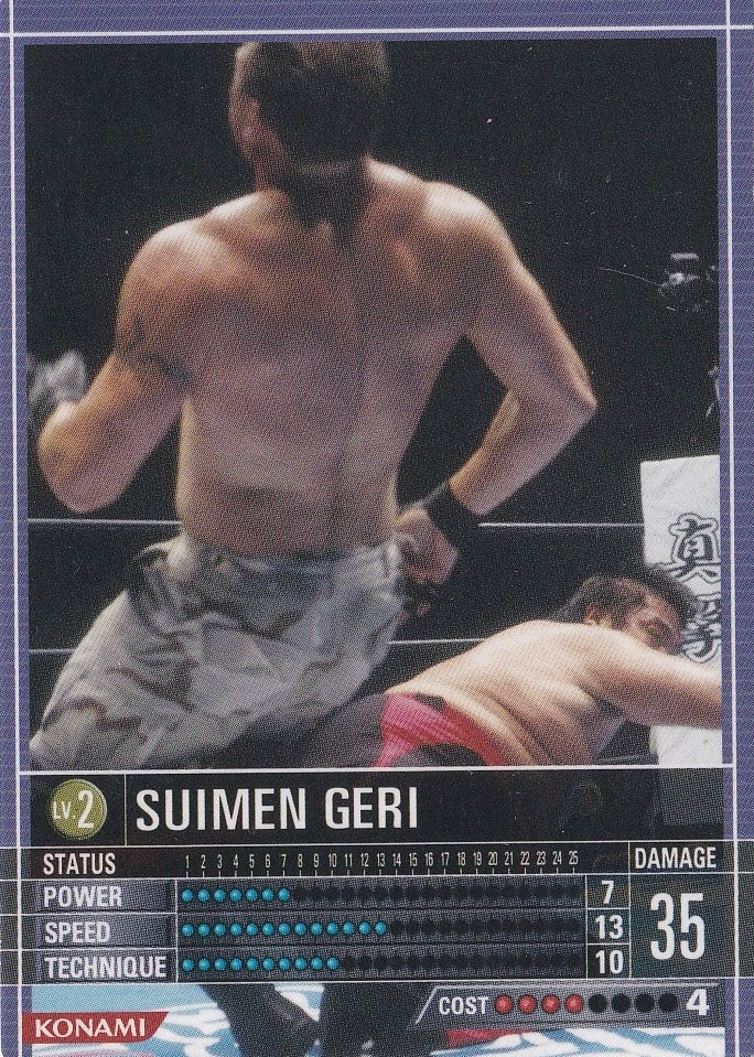 Suimen Geri