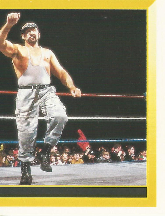 WWF Merlin Sticker 1994 Bushwhackers #293