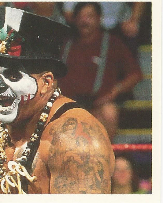 WWF Merlin Stickers 1992 Papa Shango #295